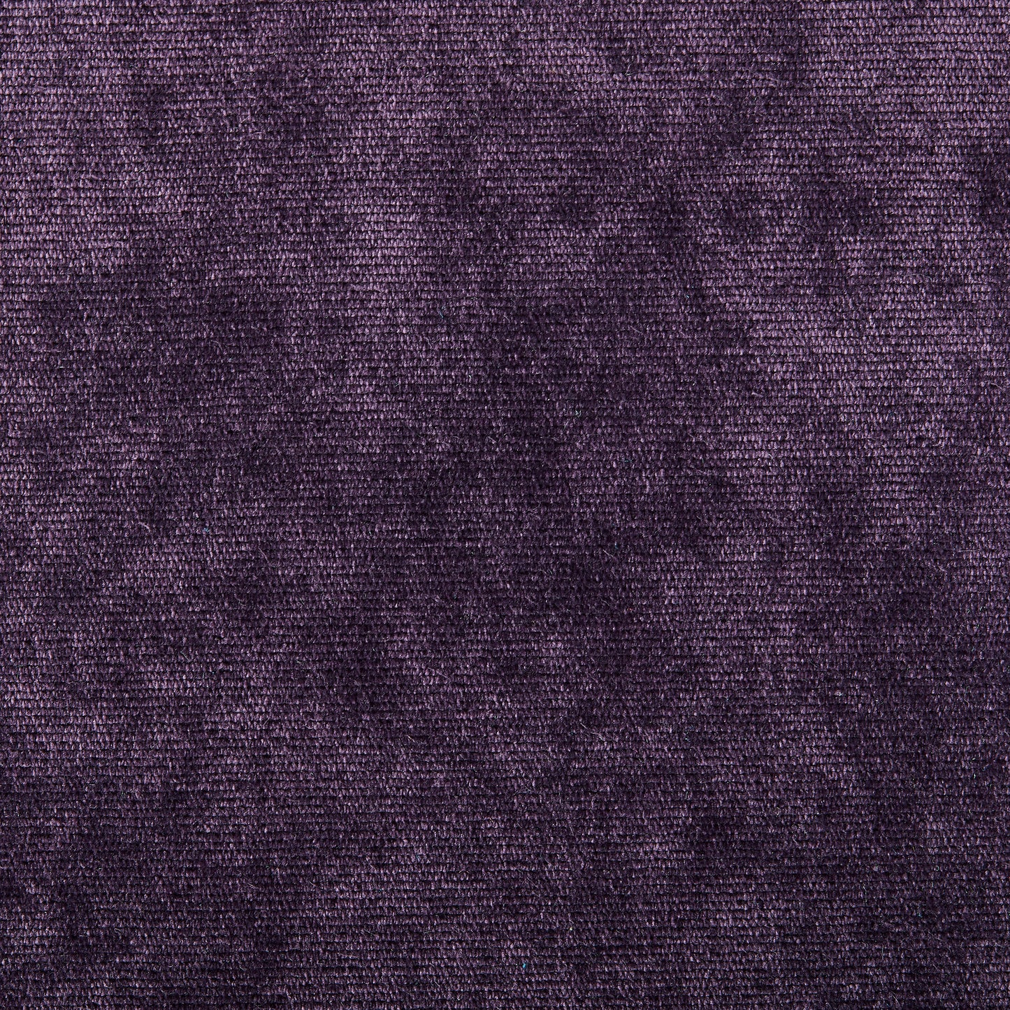 NP10 Naple Purple