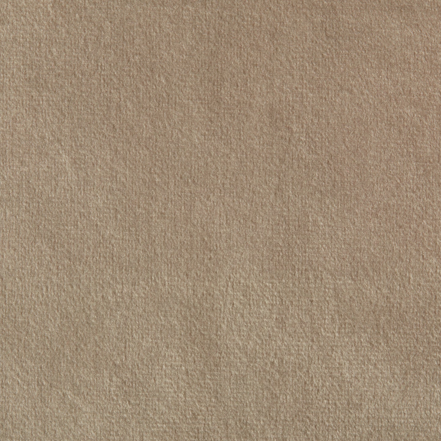 PL16 Plush Soft Velvet Mocca