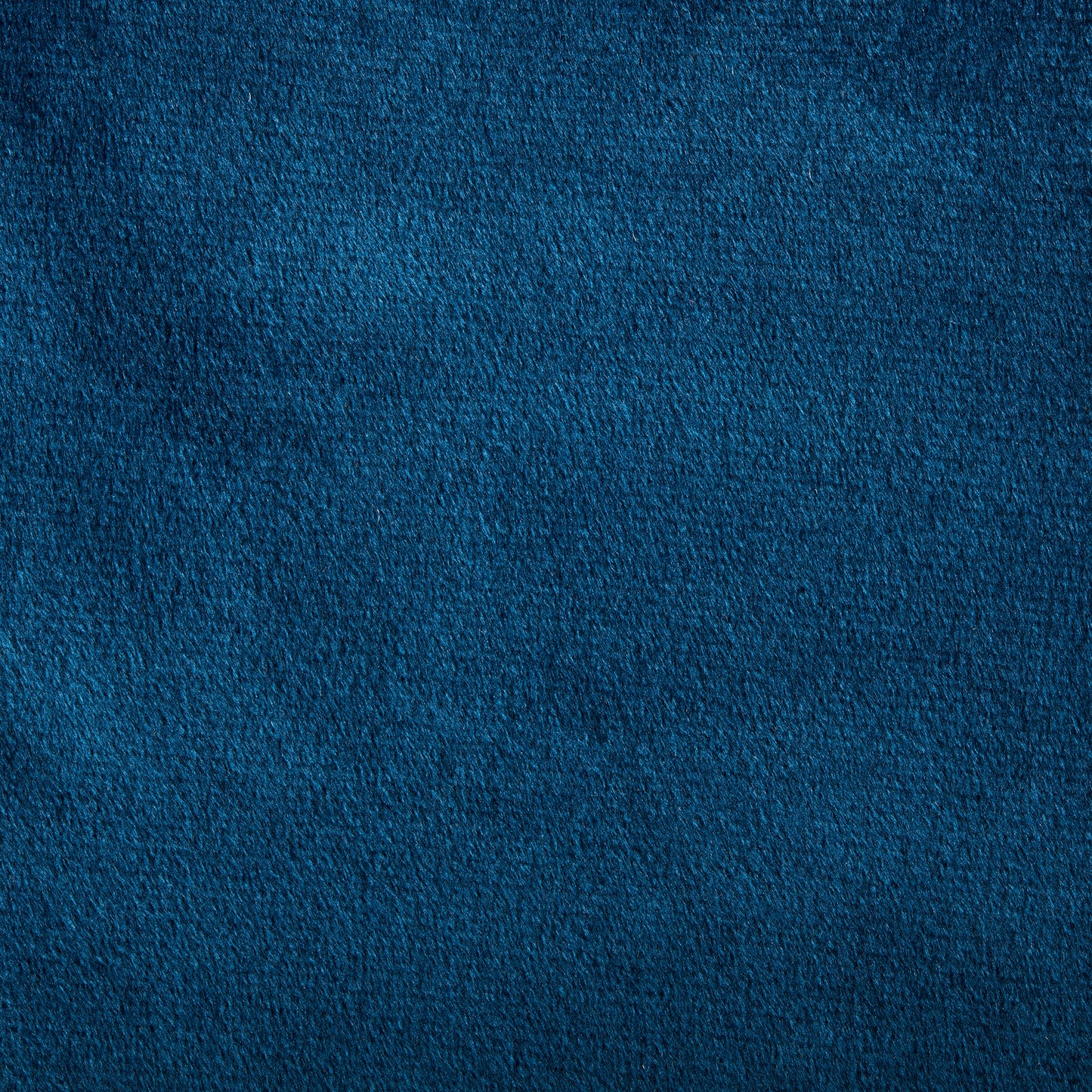 PL09 Soft Plush Velvet Blue