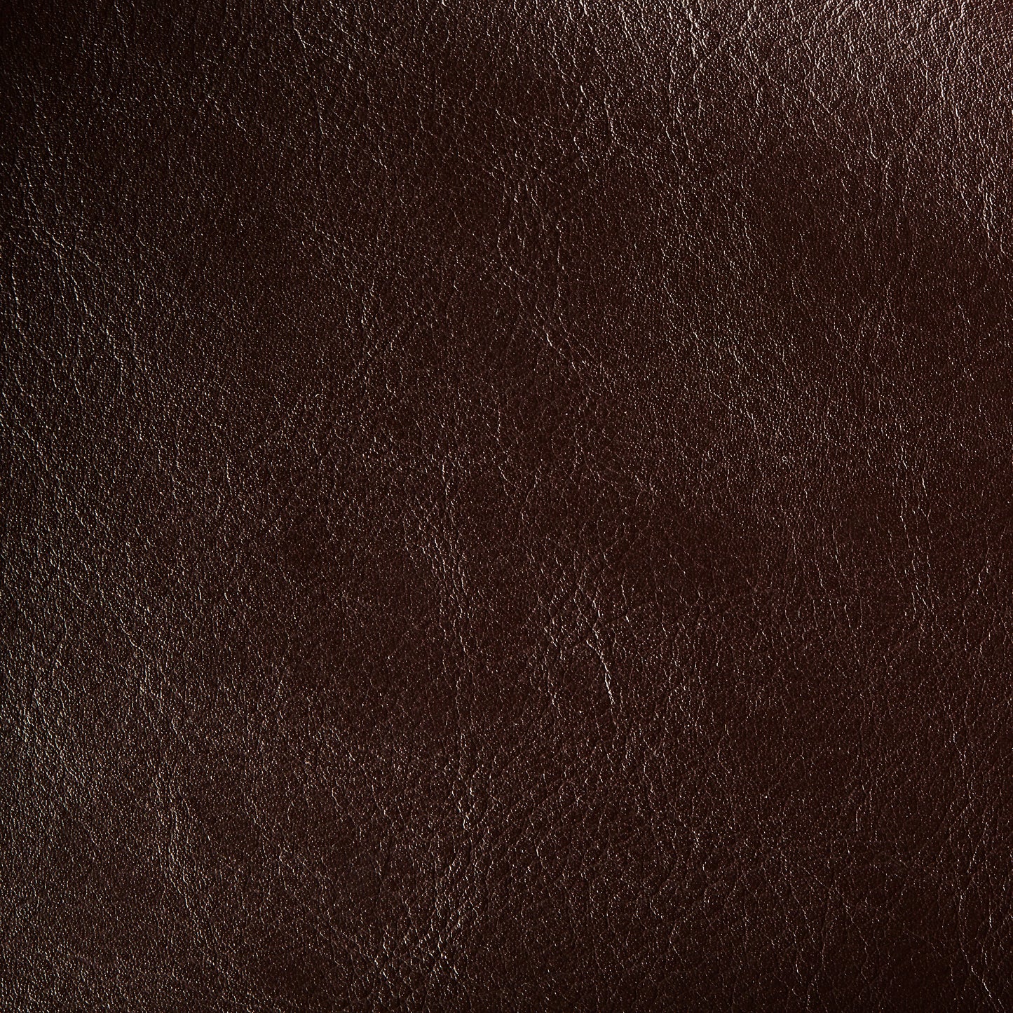 LeatherOH